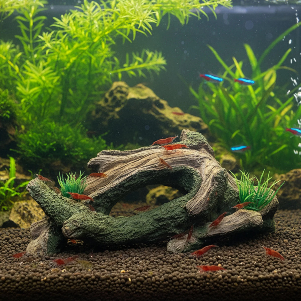 Aquarium Driftwoods Decor Tree Root Hideout for Fish and Shrimp Resting Spawning and Shelter Natural Durable and Corrosion