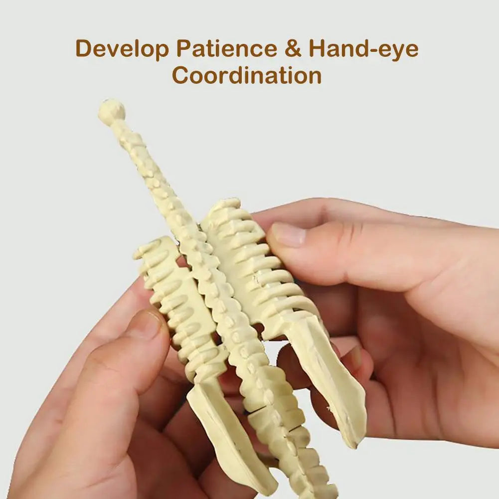 DIY Assembly Dinosaur Fossil Skeleton Mosasaurus Tyrannosaurus Action Figure Collection Creative Model Kid Toy