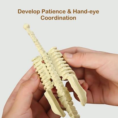 DIY Assembly Dinosaur Fossil Skeleton Mosasaurus Tyrannosaurus Action Figure Collection Creative Model Kid Toy