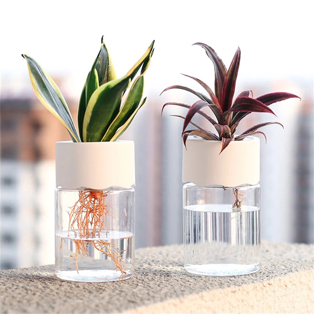 Mini Hydroponic Flower Pot Home Vase Decor Transparent Imitation Glass Soilless Plant Pots Green Plants Pot For Home Decorati