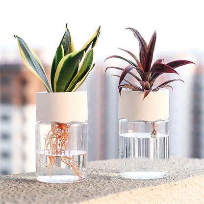 Mini Hydroponic Flower Pot Home Vase Decor Transparent Imitation Glass Soilless Plant Pots Green Plants Pot For Home Decorati