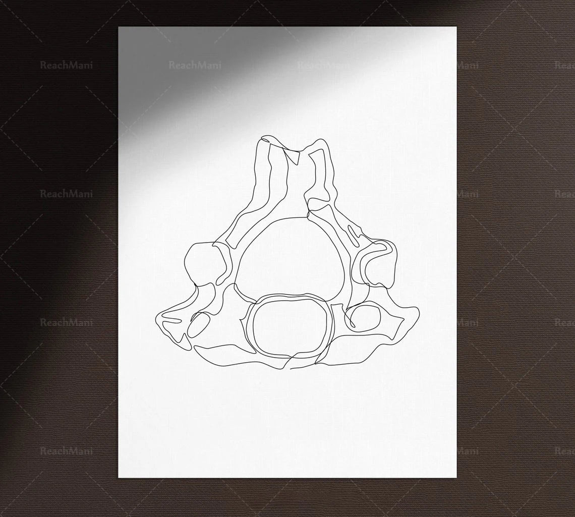 Abstract Medical Art Set of 4, Minimalist Chiropractic Art Prints, Simple Line Art Anatomy, Spine Art Poster, Vertebrae Drawi