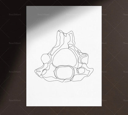 Abstract Medical Art Set of 4, Minimalist Chiropractic Art Prints, Simple Line Art Anatomy, Spine Art Poster, Vertebrae Drawi