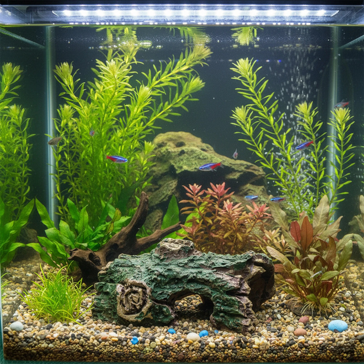 Aquarium Driftwoods Decor Tree Root Hideout for Fish and Shrimp Resting Spawning and Shelter Natural Durable and Corrosion