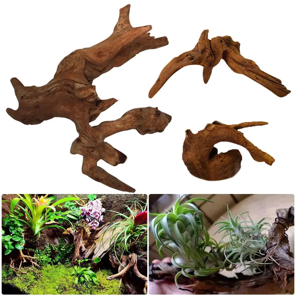 1PC Natural Sinkable Driftwood Aquarium Wood Decoration for Fish Tank Aquatic Plants Landscape