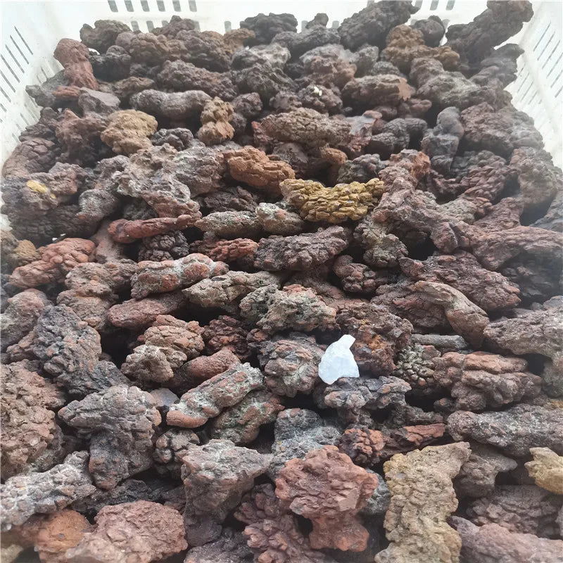 1000g Fossilized Dinosaur Poop Specimen COPROLITE Authentic from Madagascar Dino Sample for Educational Purposes