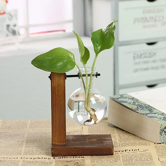 Terrarium Vases With Wooden Frame Glass Tabletop For Do-It-Yourself Crafts Home Decor