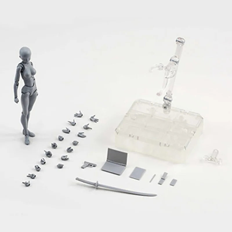 Sketch Draw Figurines Male Female Movable Body Kun Body Chan Joint Pain Anime Figure Shf Action Figure Toy Model Draw Mannequ