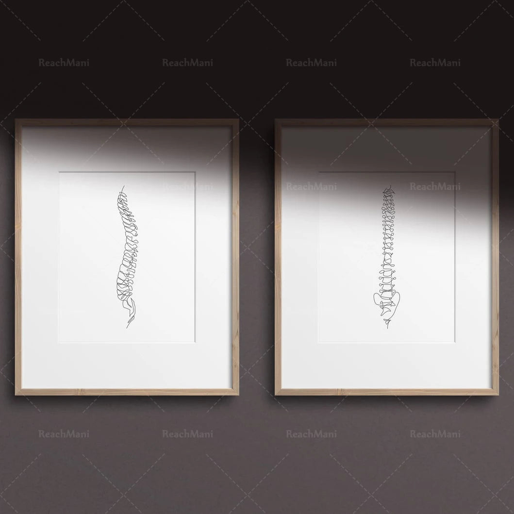 Abstract Medical Art Set of 4, Minimalist Chiropractic Art Prints, Simple Line Art Anatomy, Spine Art Poster, Vertebrae Drawi