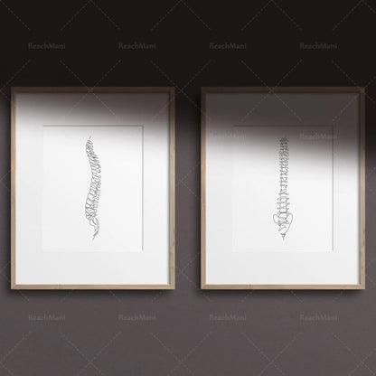 Abstract Medical Art Set of 4, Minimalist Chiropractic Art Prints, Simple Line Art Anatomy, Spine Art Poster, Vertebrae Drawi