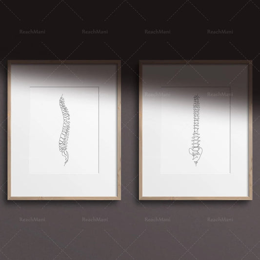 Abstract Medical Art Set of 4, Minimalist Chiropractic Art Prints, Simple Line Art Anatomy, Spine Art Poster, Vertebrae Drawi