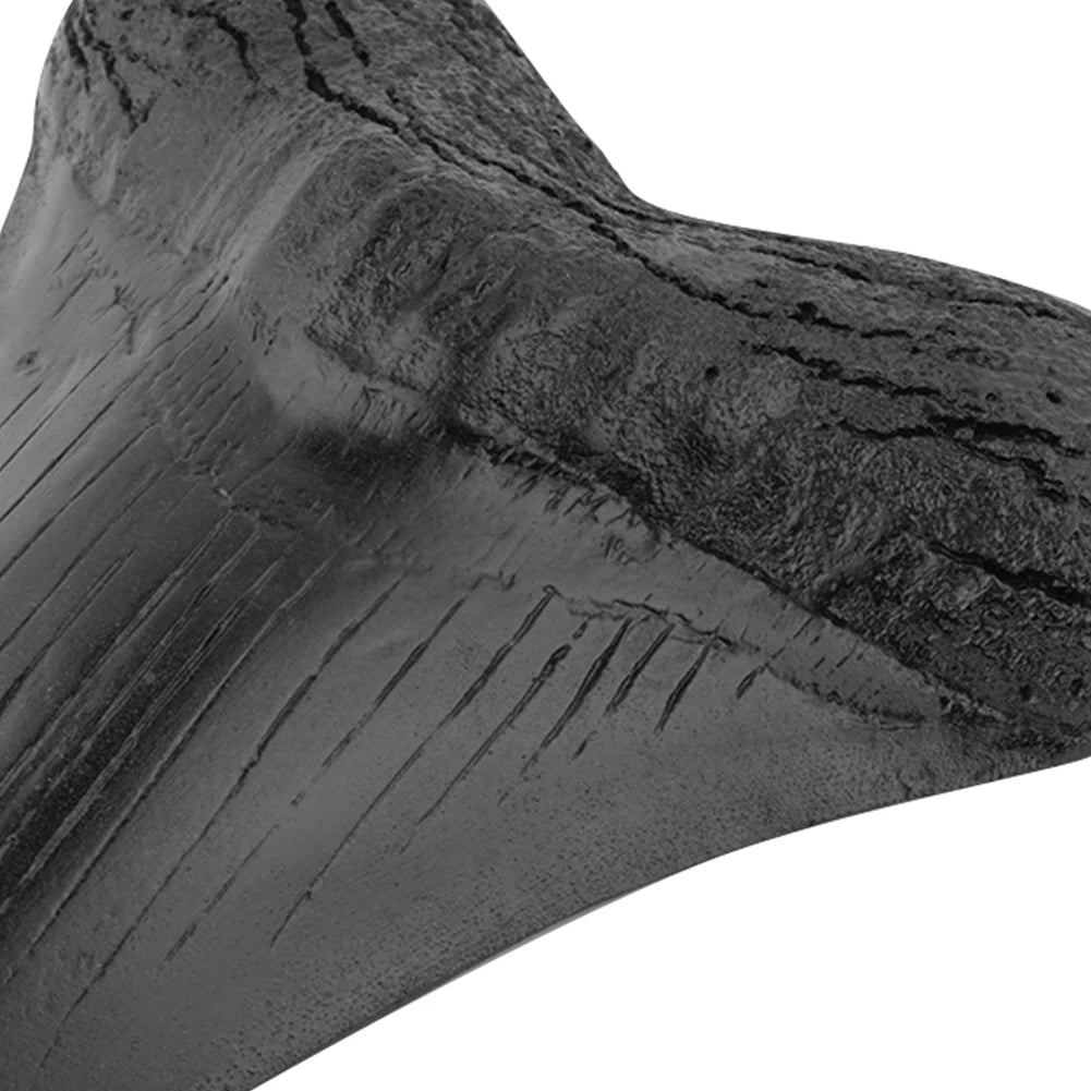 Black Shark Teeth Fossil 5inch Giant Megalodon Tooth Home Decoration Shark Tooth Replica Marine Bology Teaching Props Best Gi