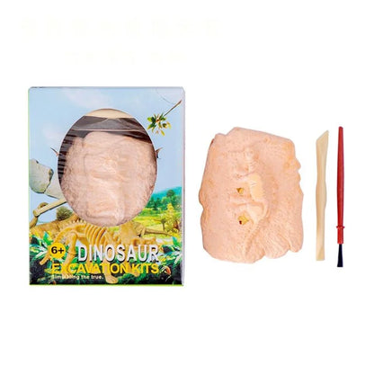 Dinosaur Skeleton Excavation Toy DIY Digging & Assembly Model, Archaeological Science Kit Fossil Experience for Educational P