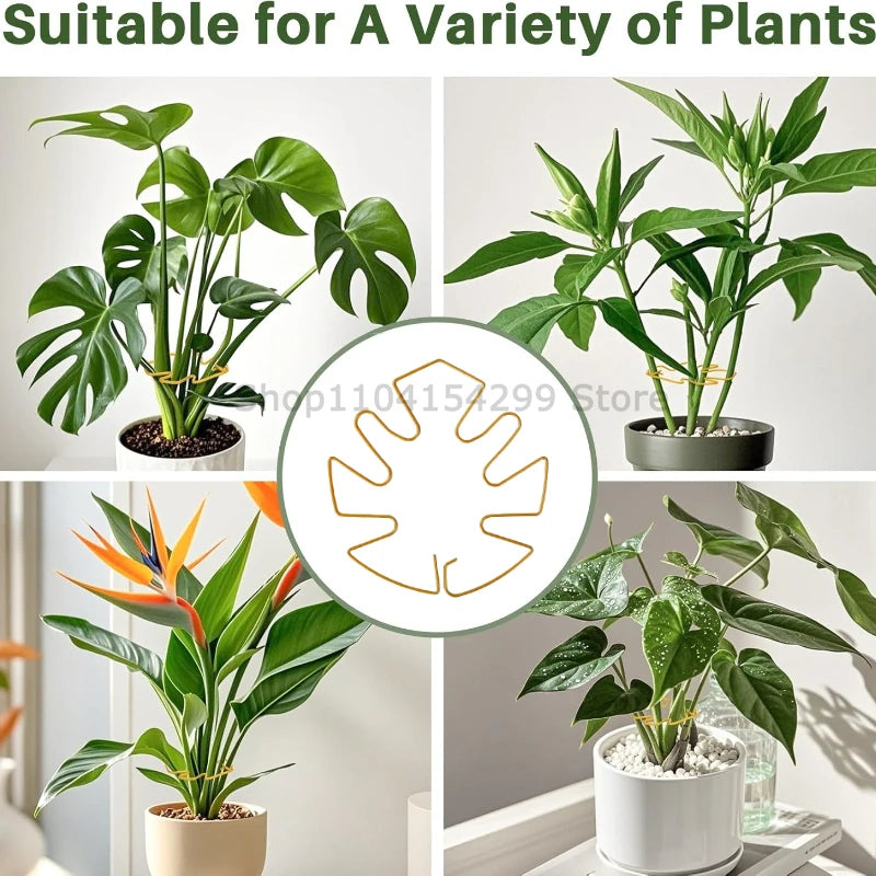 Anti-toppling Plant Stem Support No Nail Needed Multi-purpose Flower Climbing Stem Holder Vine Branch Monstera Stabilizer