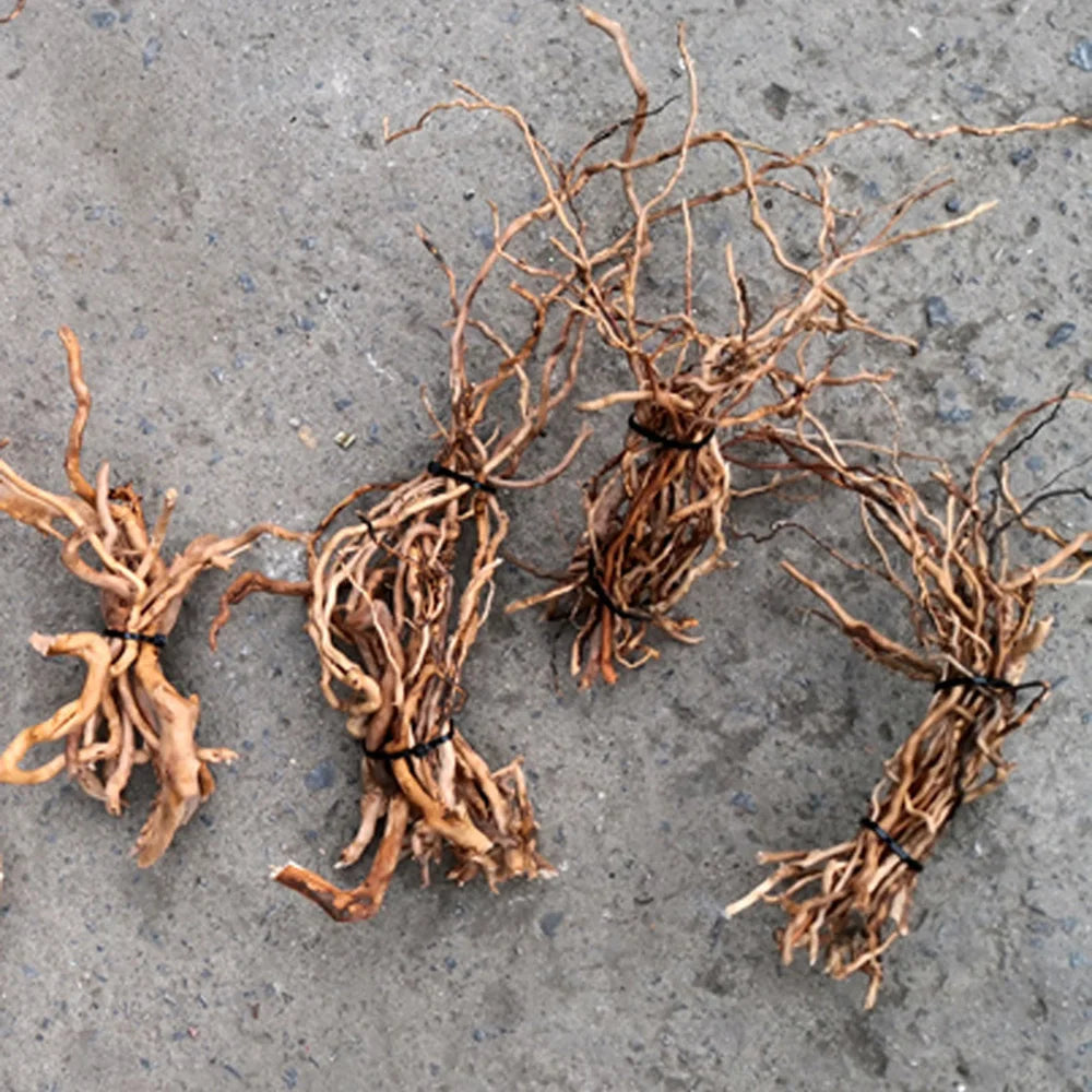 Aquarium Micro Landscape Natural Driftwood Root Trunk Tree DIY Home Fish Tank Ornaments Supplies - XQ95162-01