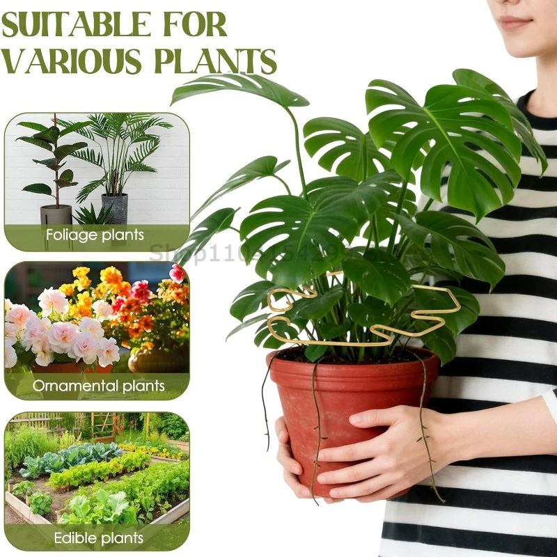Anti-toppling Plant Stem Support No Nail Needed Multi-purpose Flower Climbing Stem Holder Vine Branch Monstera Stabilizer