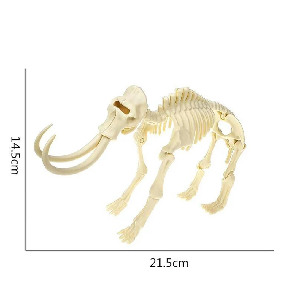 Simulation Dinosaur Fossil Plastic Skeleton Model Children's DIY Handmade Dinosaur Skeleton Assembly Kit Tyrannosaurus Rex Mo