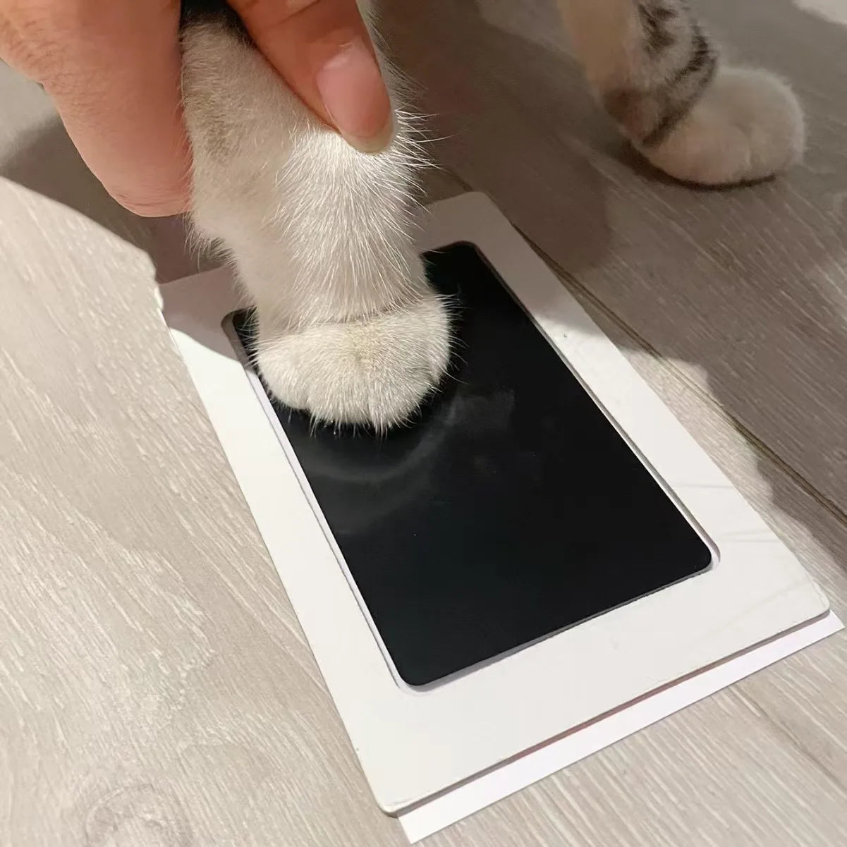 1 Set Baby Handprint Footprints Ink Pads Safe Non-toxic No-Touch Skin Inkless Inkpad Kits Pet Cat Dog Paw Prints Souvenirs Gi