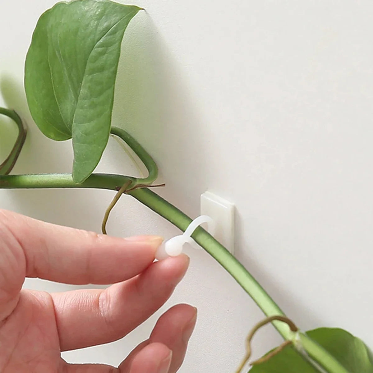 10 plant climbing wall fixing clips, vine fixing clips, self-adhesive plant climbing wall fixing hooks without drilling holes