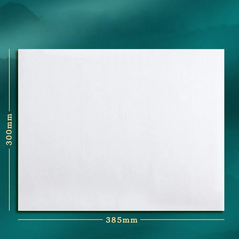 No Ink Magic Water Writing Cloth Brush Gridded Fabric Mat Chinese Calligraphy Practice Practicing Intersected Figure Set - D