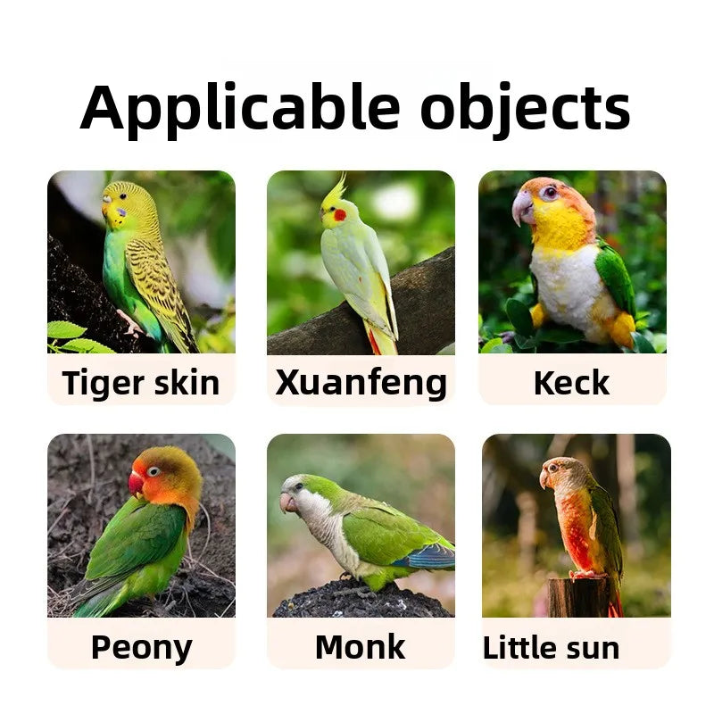 Bird Daily Use Bathtub Bird Shower Basin for Health Tabletop Parrots Bathing Parrot PeonyBath Automatically Circulates Bird B