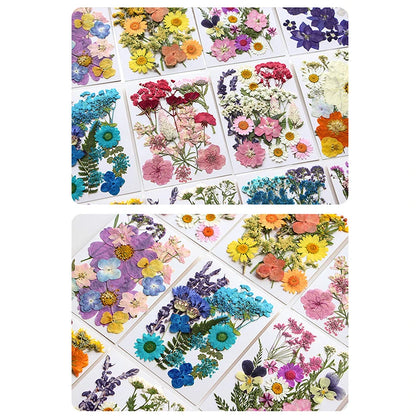 Sewing Accessories, Custom Sewing Kit, Stainless Steel Needles, Fabric Threading Tools, Quilting and Jewelry Making Supplies,