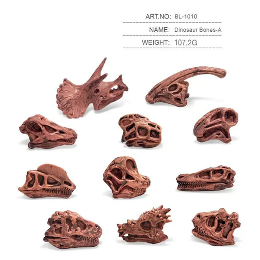 Solid Dinosaur Fossil Model Simulation Hand-painted Vivid Carnotaurus Dinosaur Skull Fossil Figurine for Kids Home Decor