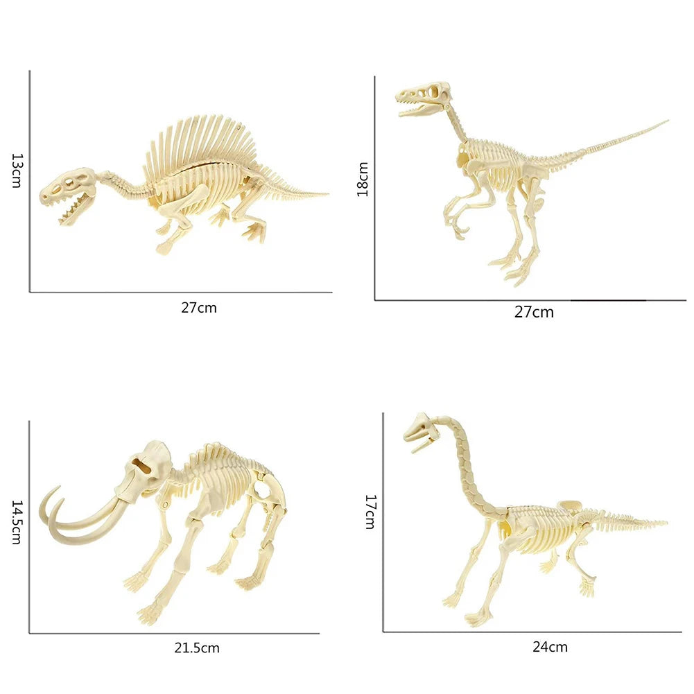 Simulation Dinosaur Fossil Plastic Skeleton Model Children's DIY Handmade Dinosaur Skeleton Assembly Kit Tyrannosaurus Rex Mo