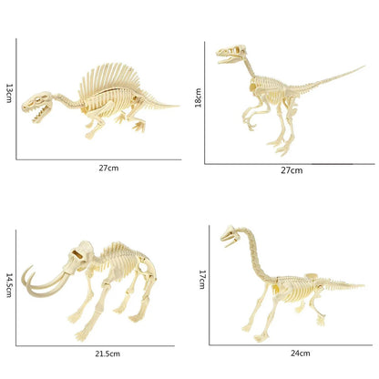 Simulation Dinosaur Fossil Plastic Skeleton Model Children's DIY Handmade Dinosaur Skeleton Assembly Kit Tyrannosaurus Rex Mo