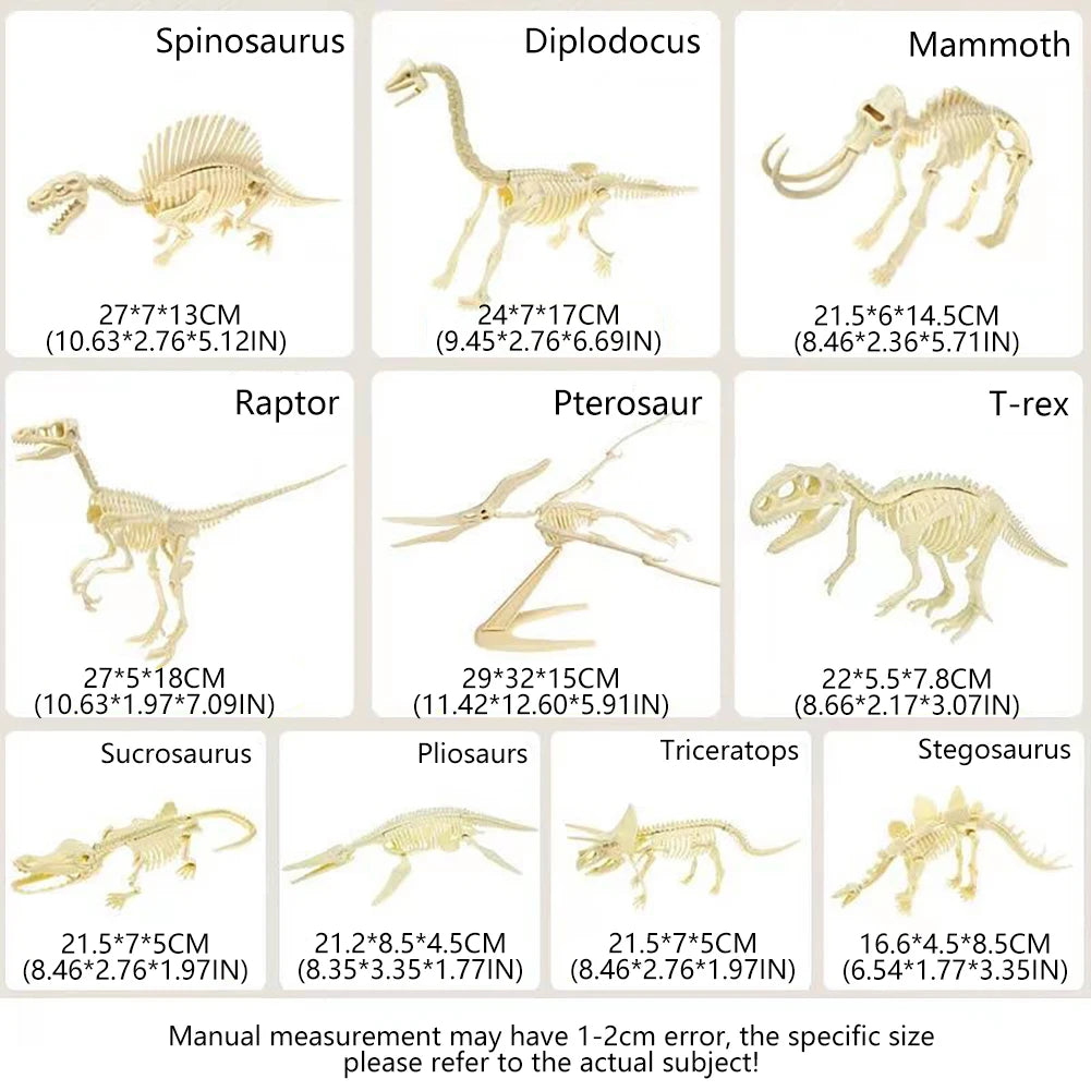 Simulation Dinosaur Fossil Plastic Skeleton Model Children's DIY Handmade Dinosaur Skeleton Assembly Kit Tyrannosaurus Rex Mo