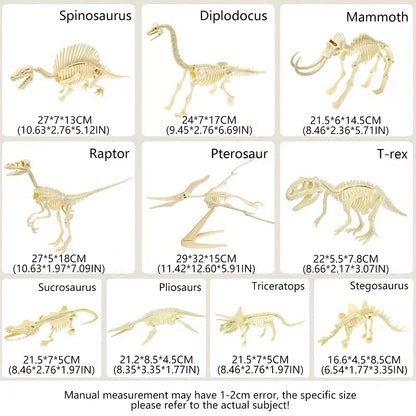 Simulation Dinosaur Fossil Plastic Skeleton Model Children's DIY Handmade Dinosaur Skeleton Assembly Kit Tyrannosaurus Rex Mo