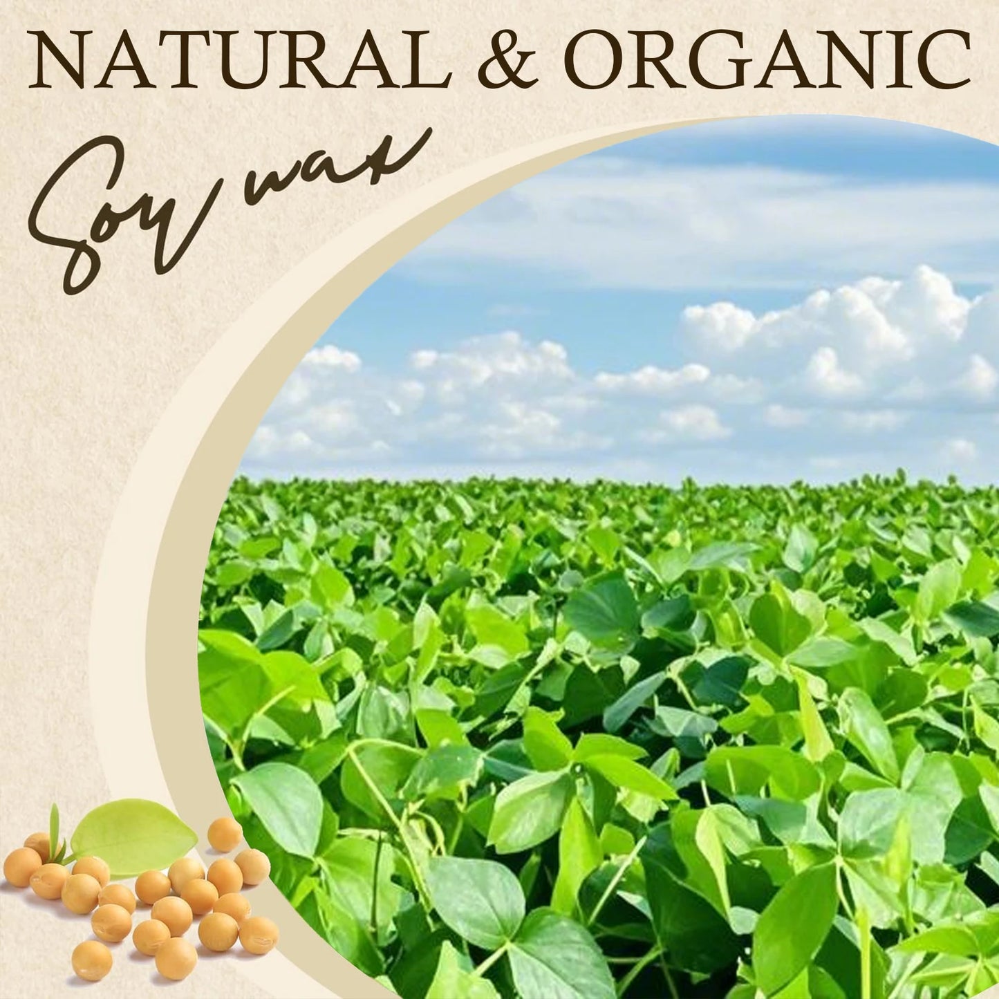 100g-1000g Natural Soy Wax DIY Handmade Candles Crafts Making Supplies 100% Additive-Free Wax Flakes Scented Candle Raw Mater