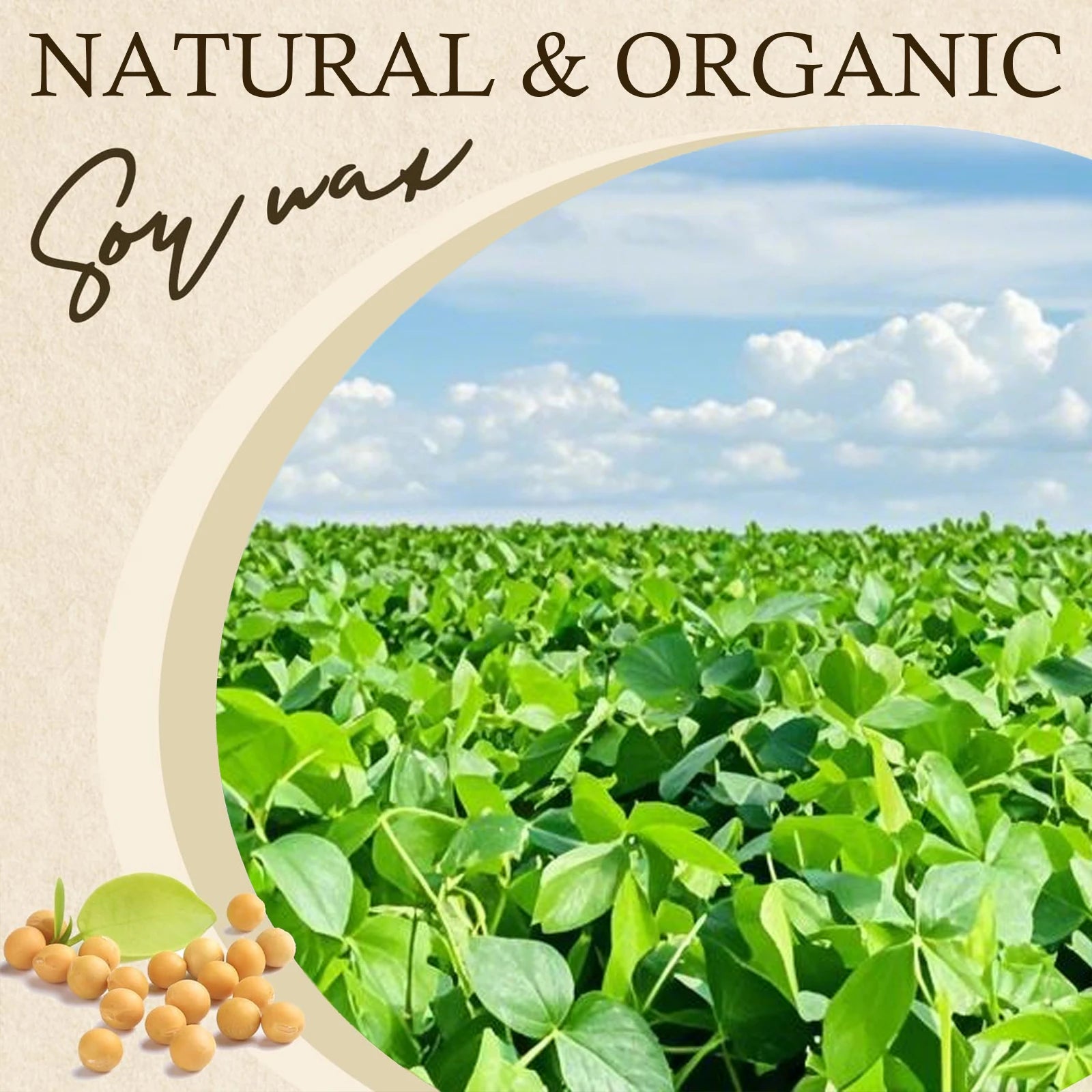 100g-1000g Natural Soy Wax DIY Handmade Candles Crafts Making Supplies 100% Additive-Free Wax Flakes Scented Candle Raw Mater