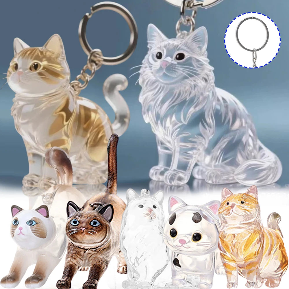 New Cat Hair Storage Keychain Bag Pendant Transparent Pet Fur Keepsake Capsule Souvenir Collection Gift Decoration Accessorie