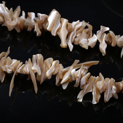 Natural Freshwater Shell Beading 18-25mm Irregular White Shell Loose Beads for Jewelry Making DIY Necklaces Bracelet Accessor