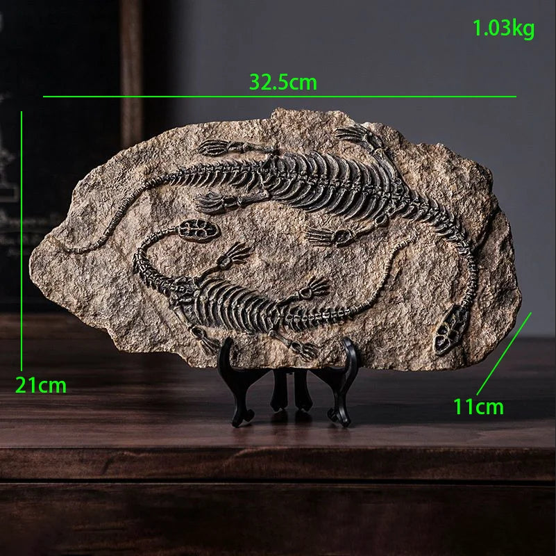 Simulated Dinosaur Fossil Model Resin Accessories Art Home Living Room Statue Decoration Items Study Office Sculpture Ornamen
