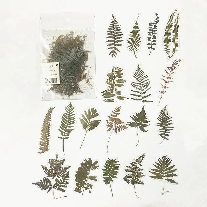 40pcs/bag Vintage Ginkgo leaves flowers PET sticker package DIY diary decoration sticker album scrapbooking - T