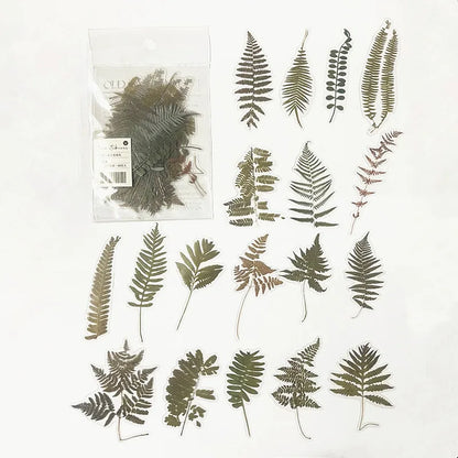 40pcs/bag Vintage Ginkgo leaves flowers PET sticker package DIY diary decoration sticker album scrapbooking - T