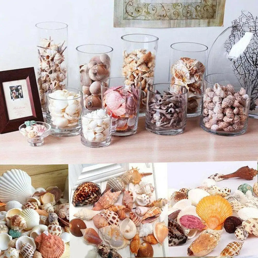 100g/bag Mixed Sea Beach Conch Shells Crafts Seashells Mini Natural Conch Corn Screw DIY Aquarium Landscape Decor Photo Props