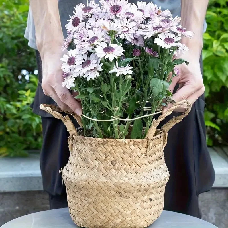 1Pc Large Hanging Plant Stand, Iron Hooks, Suitable for Flowerpot Decoration, Indoor and Outdoor Use