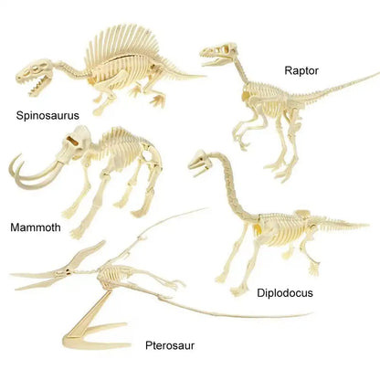 Simulation Dinosaur Fossil Plastic Skeleton Model Children's DIY Handmade Dinosaur Skeleton Assembly Kit Tyrannosaurus Rex Mo