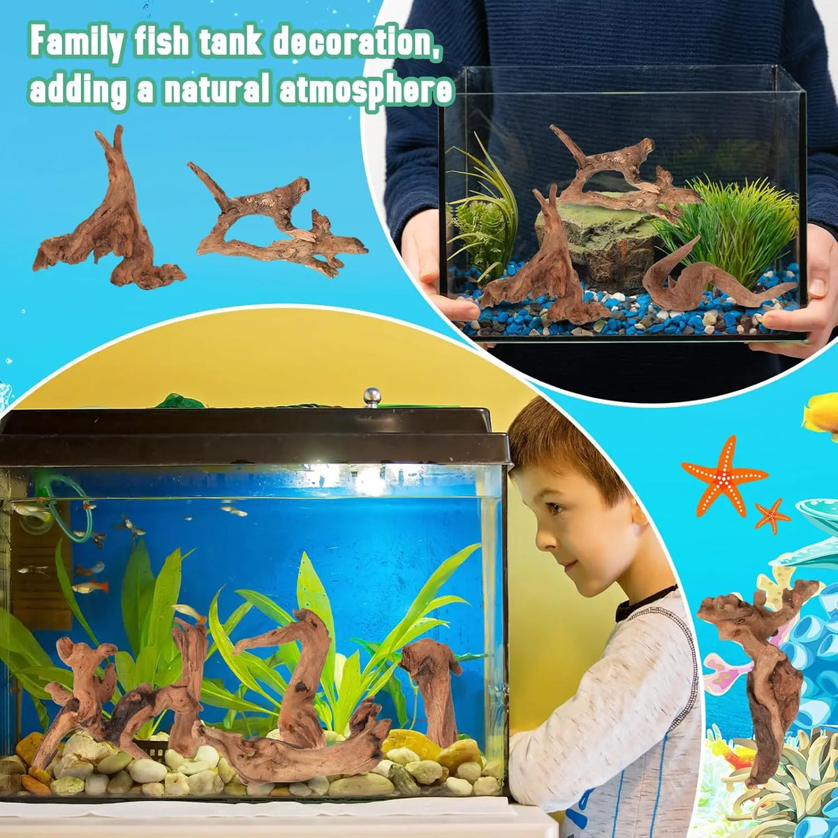 3/6PCS Natural Small Driftwood for Aquarium Decor Fish Tank Decorations Decor Assorted Driftwood Branch Reptile Tank Wood Dec