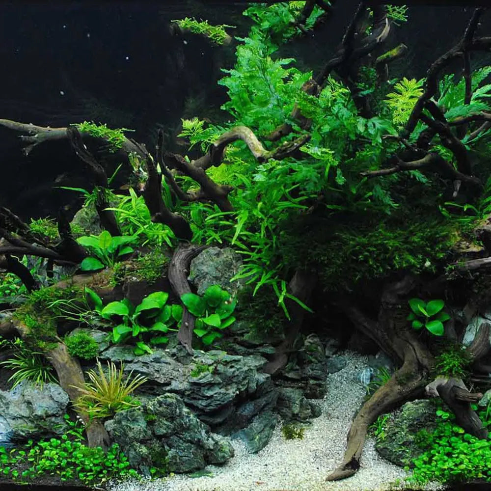 Aquarium Driftwood Natural Fish Tank Plant Decor Tree Aquarium Fish Bowl Stump Aquarium Home Fishtank Landscaping Decor Pet T