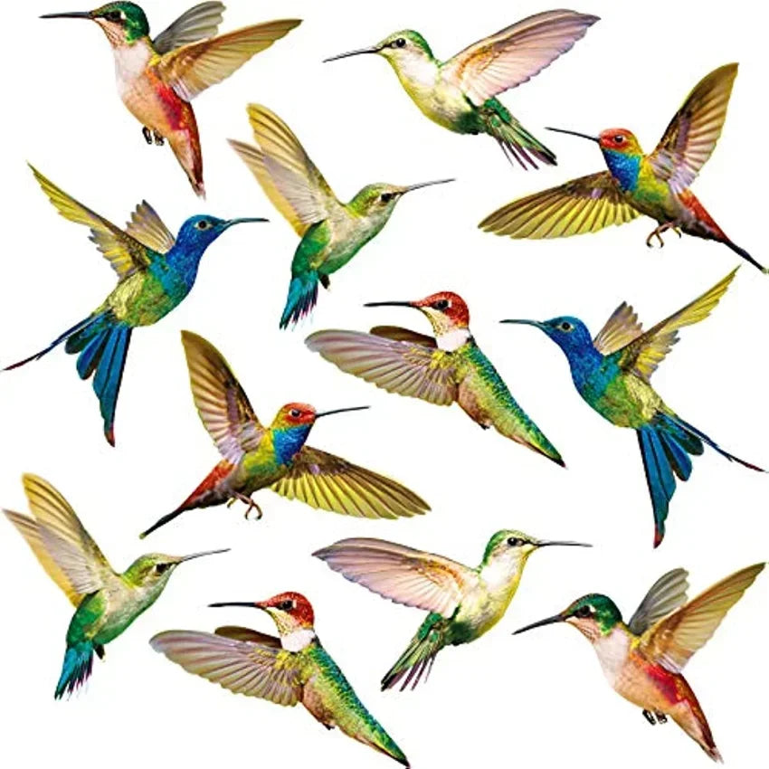 6 Pieces Hummingbird Window Clings Anti-Collision Window Clings Decals to Prevent Bird Non Adhesive Vinyl Cling Stickers
