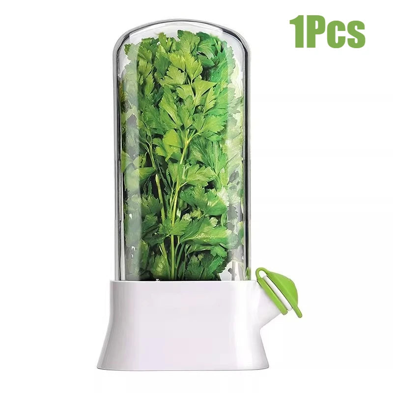 Herb Keeper for Refrigerator Keep Herbs Fresh Longer Premium Herb Saver Versatile Container for Cilantro Parsley Basil Mint -