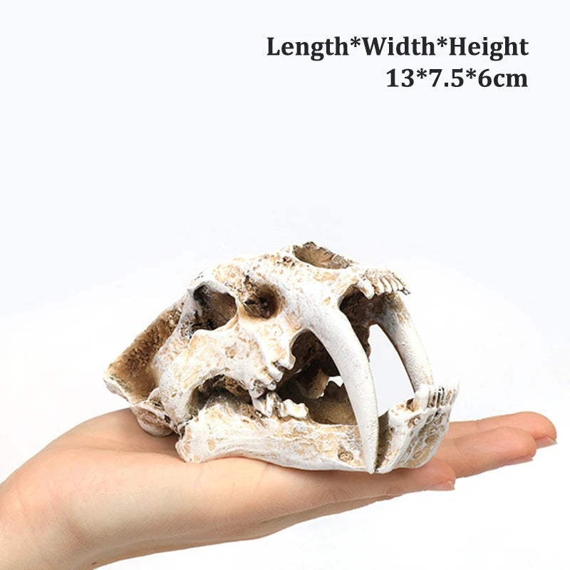 Dinosaur Skull Model Velociraptor Fossil Resin Skull Lifelike Dinosaur Skeleton Statue Figurine Aquarium Decorations Accessor
