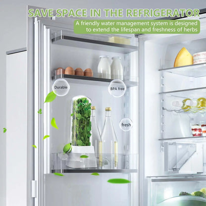 Herb Keeper for Refrigerator Keep Herbs Fresh Longer Premium Herb Saver Versatile Container for Cilantro Parsley Basil Mint