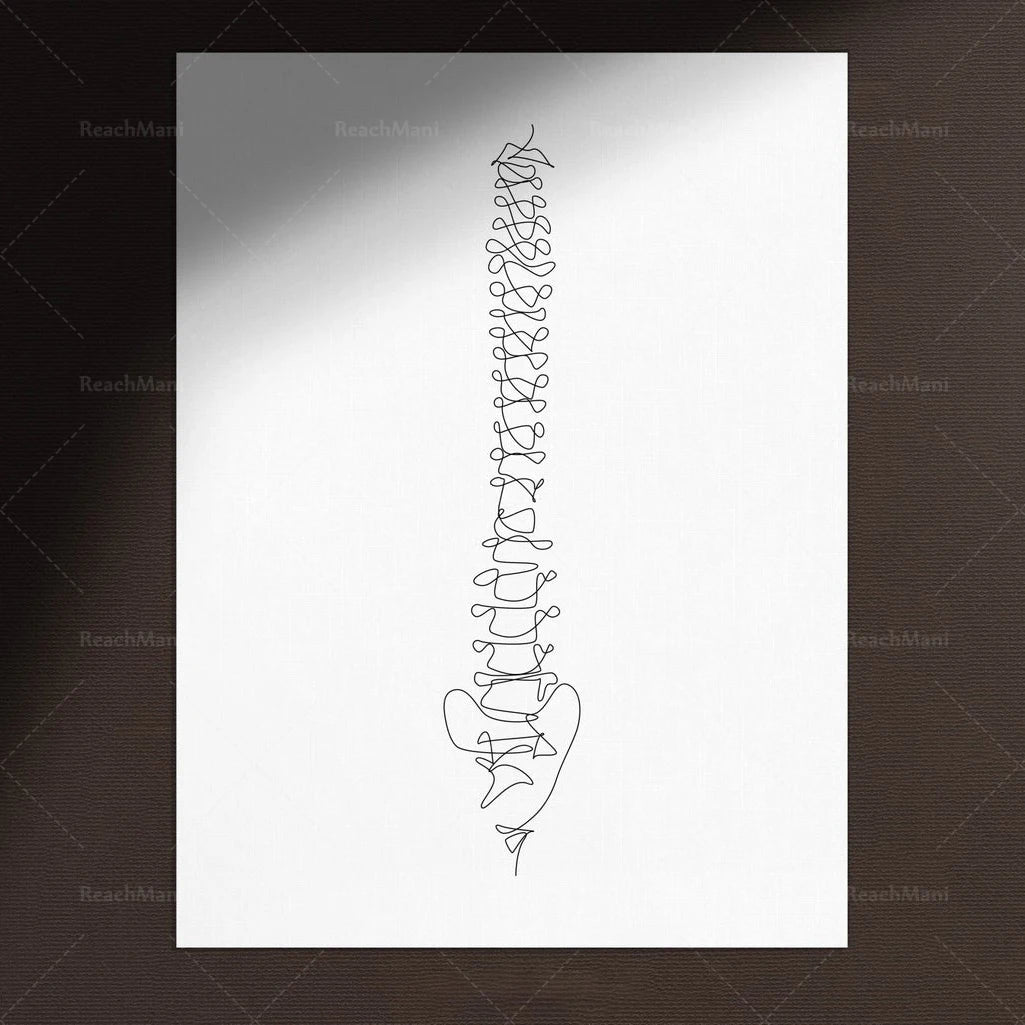 Abstract Medical Art Set of 4, Minimalist Chiropractic Art Prints, Simple Line Art Anatomy, Spine Art Poster, Vertebrae Drawi