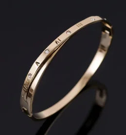 Stainless Steel With Zirconia Bracelet Bangle Simple Jewelry