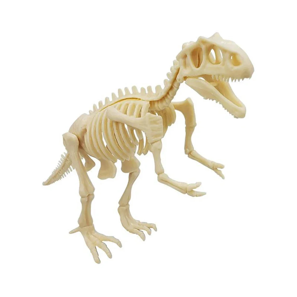 Simulation Dinosaur Fossil Plastic Skeleton Model Children's DIY Handmade Dinosaur Skeleton Assembly Kit Tyrannosaurus Rex Mo